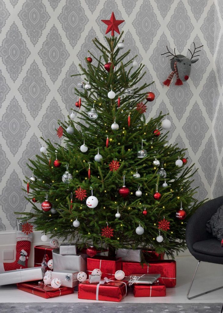 Real Christmas tree for your home