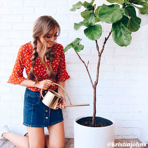 Gorgeous pigtail braids hairstyle for a unique look