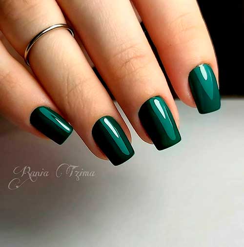 Cute dark green short nails set for winter season!