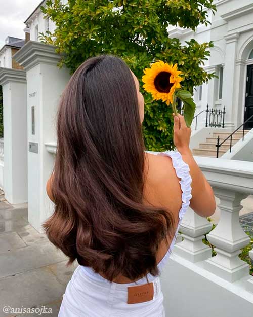 Healthy dyed hair with PHYTO Color Permanent Hair Color Dye Healthy dyed hair with PHYTO Color Permanent Hair Color Dye