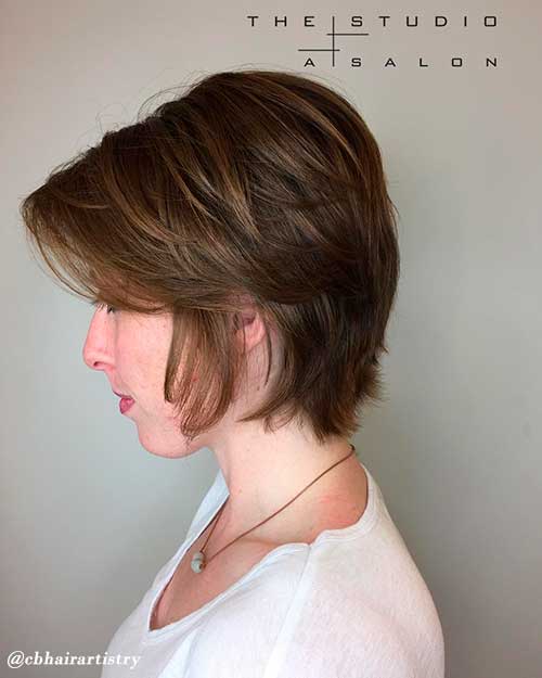 Short Hair Shag with A Volume at The Crown Short shag haircut with A Volume at The Crown, short shag haircuts, short shag hairstyles