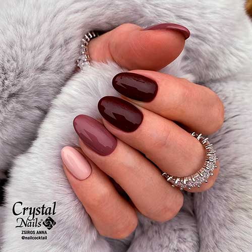 Glossy Medium Round Different Shades of Brown Nails Design