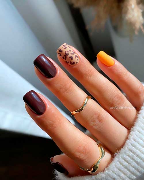 Short Square Nails with Brown Hues and Leopard Print is One of The Classy Brown Nail Designs