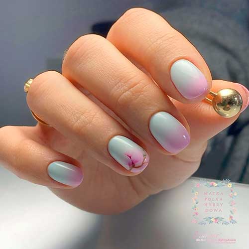 Round short ombre pastel nails from baby blue to baby pink on nail tips with pink blossom on accent nail Round short ombre pastel nails from baby blue to baby pink on nail tips with pink blossom on accent nail