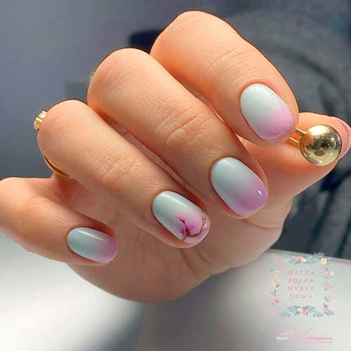 Round short ombre pastel nails from baby blue to baby pink on nail tips with pink blossom on accent nail