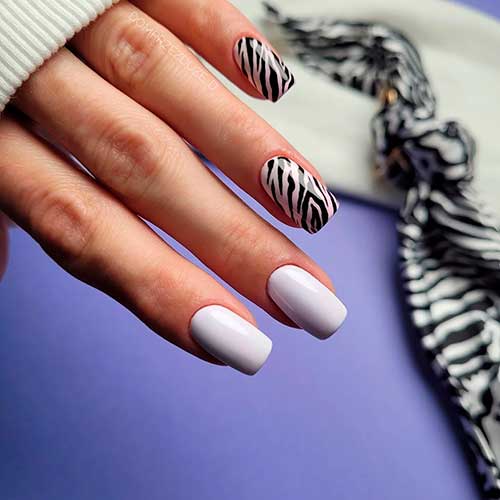 Square Grey with Fashionable Zebra Print Design over Two Pink Accents