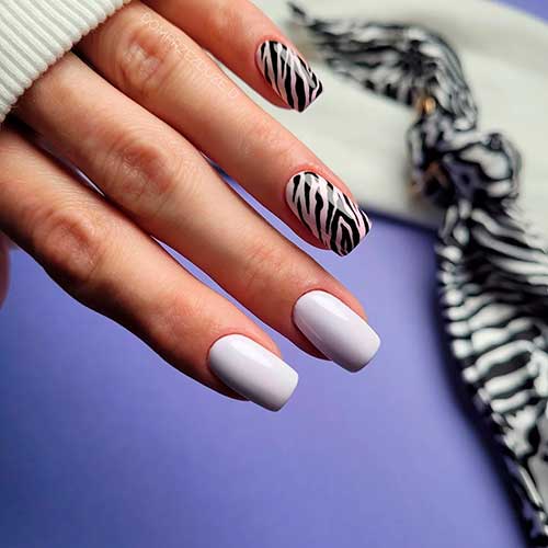 Grey with Fashionable Zebra Print Design Square Grey with Fashionable Zebra Print Design over Two Pink Accents