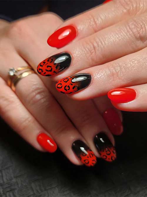 Medium Round Shaped Red and Black Nails with Ombre and Leopard Nail Art