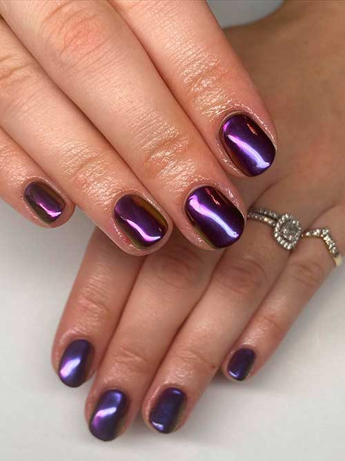 Short Round Shaped Dark Purple Chrome Nails