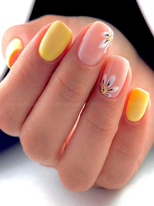 Short square-shaped yellow spring nails 2023 with white daisy flowers on two accent nails