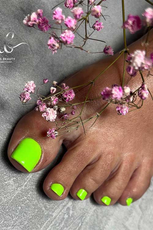 Neon Green Summer Toes are One of The Best Summer Toe Nails to Try