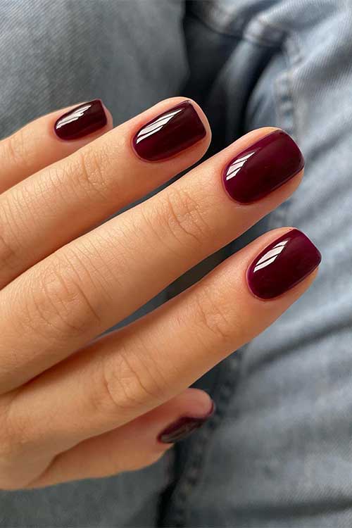 Chocolate Brown nails with a violet undertone are a perfect choice for autumn 2023!