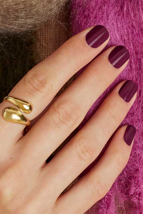 Vintage Velvet fall color street nails from Color Street Fall 2023 Collection