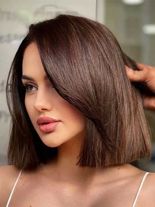 Brunette Sleek Blunt Bob