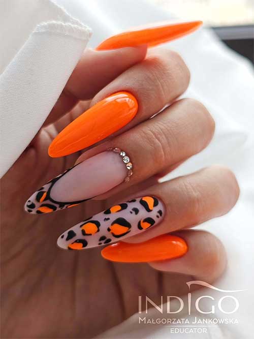 Fierce orange nails with glossy finish, featuring leopard print accents for a bold and glamorous statement manicure. Fierce orange nails with glossy finish, featuring leopard print accents for a bold and glamorous statement manicure.